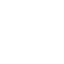 apple icon
